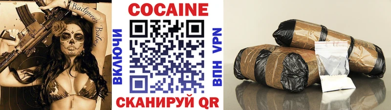 Купить закладки  Анадырь  COCAIN 99% 
