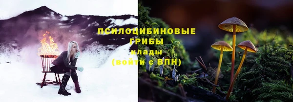 молекула духа Армянск