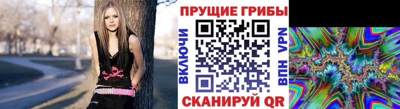 Купить где  Анадырь  Псилоцибиновые грибы Psilocybine cubensis 